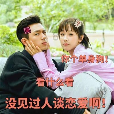 犀牛森林大逃生